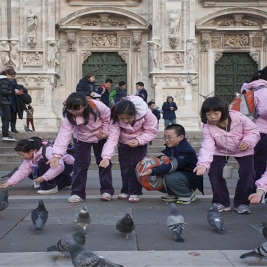 小团员们在米兰大教堂前喂鸽子2