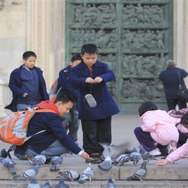 乐团小团员们在米兰大教堂前喂鸽子1