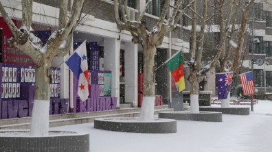 飞雪迎春到