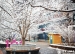 【成志教育100+5】2020年第一场雪，落在校园的样子真美！