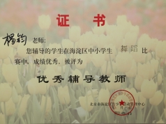 杨钧老师的荣誉证书