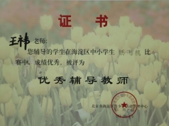 王祎教师的荣誉证书