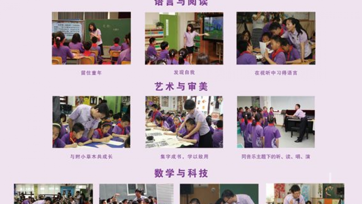 “1+X课程”建构与实施阶段汇报会
