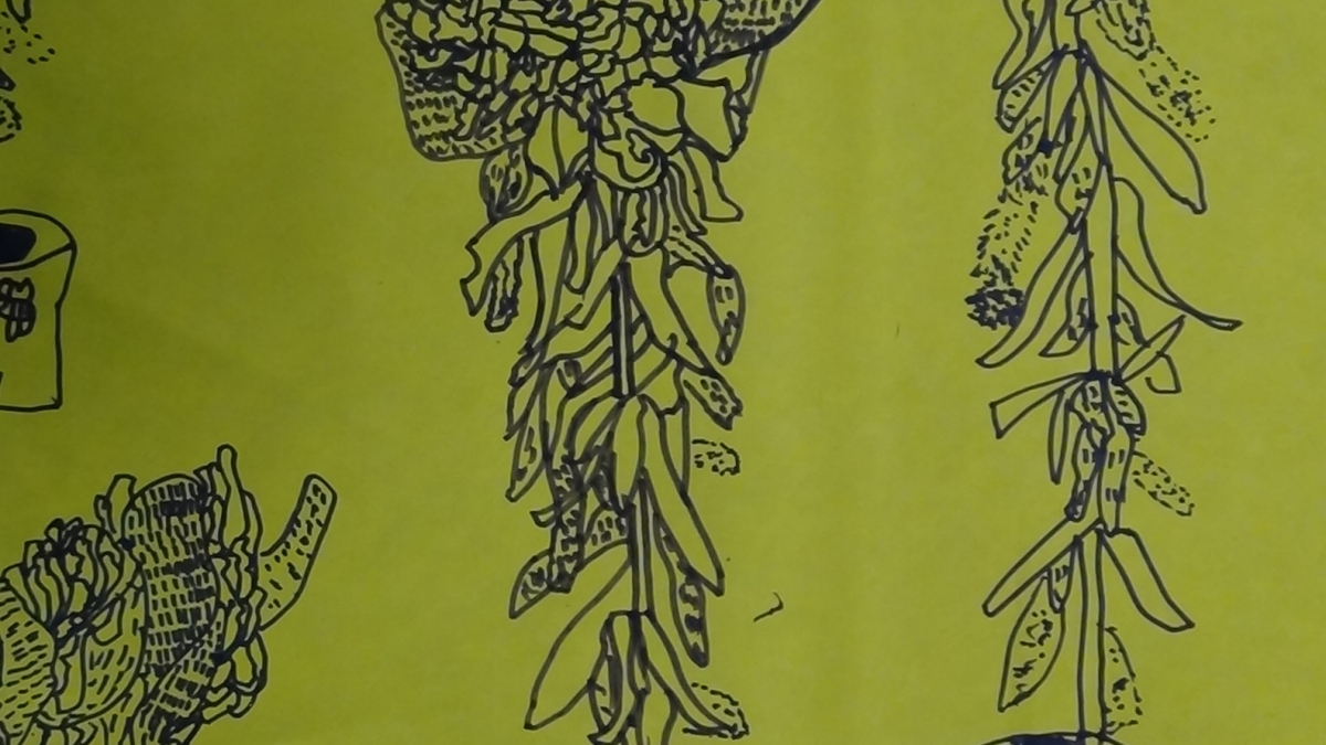 教学案例