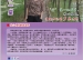 2013年度4月之星——罗侠校医