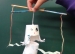 教学案例