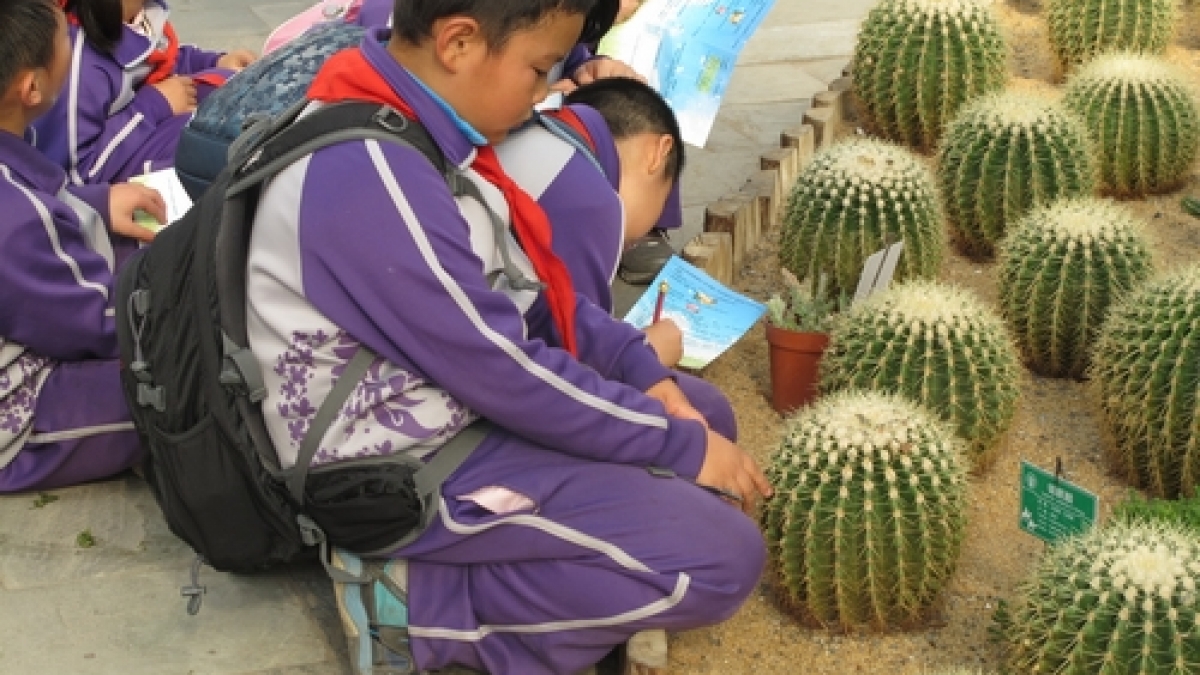 三年级走进世界花卉大观园