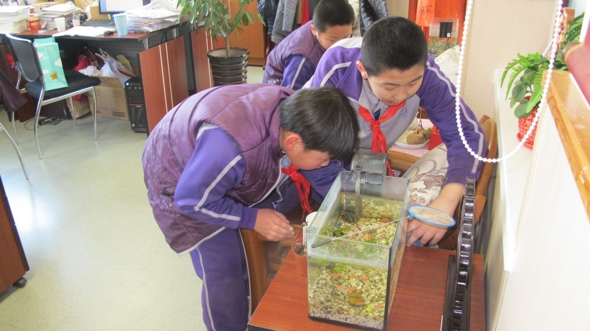 志愿者课程之雷锋精神在我心，志愿服务在我行