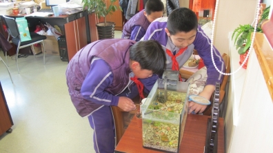 志愿者课程之雷锋精神在我心,志愿服务在我行