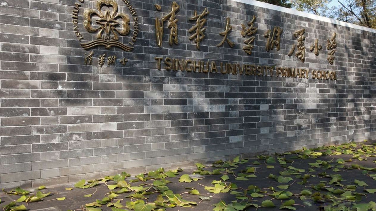 “1＋X”课程模式建设之我见