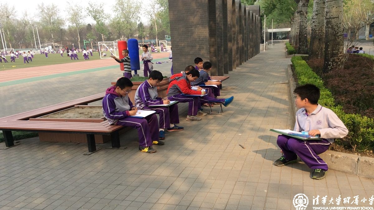 主题课程之寻找校园的春天
