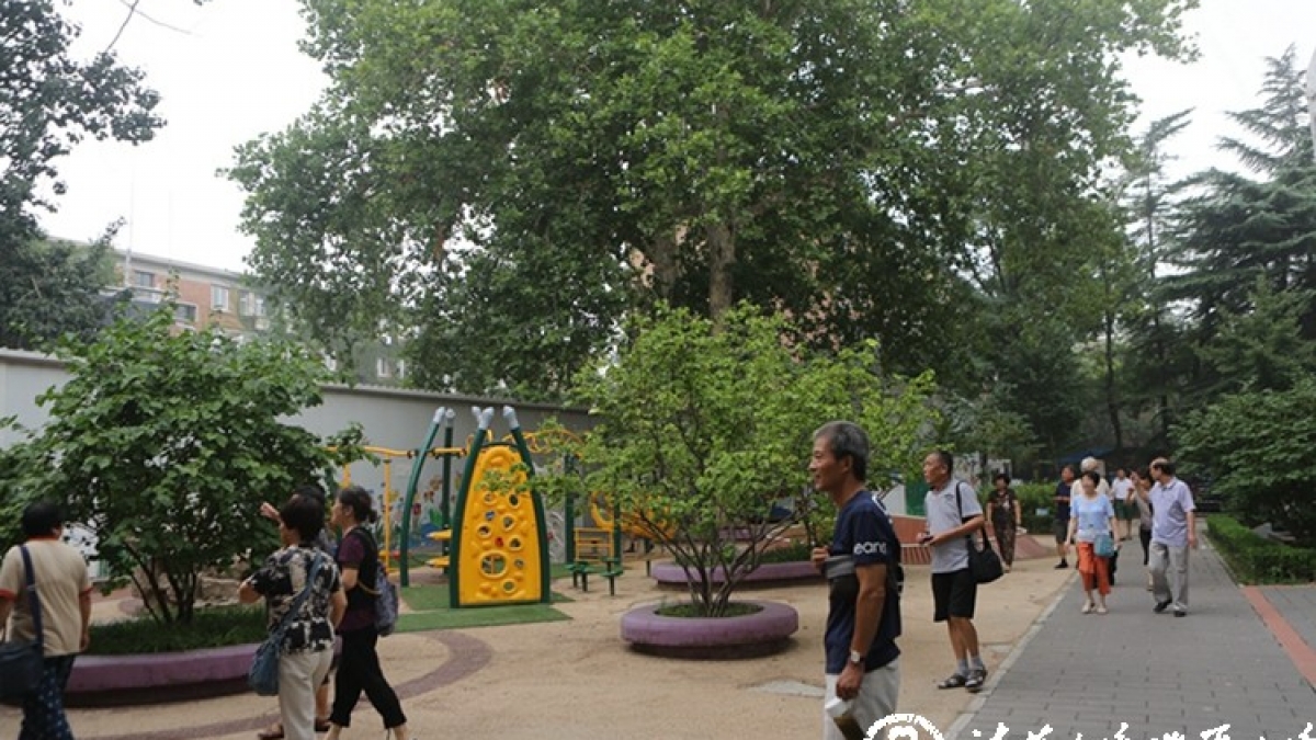 清华附小六（4）班重逢美丽的书香校园