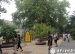 清华附小六（4）班重逢美丽的书香校园