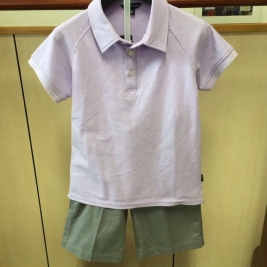 夏季新校服：紫色POLO T恤（男）