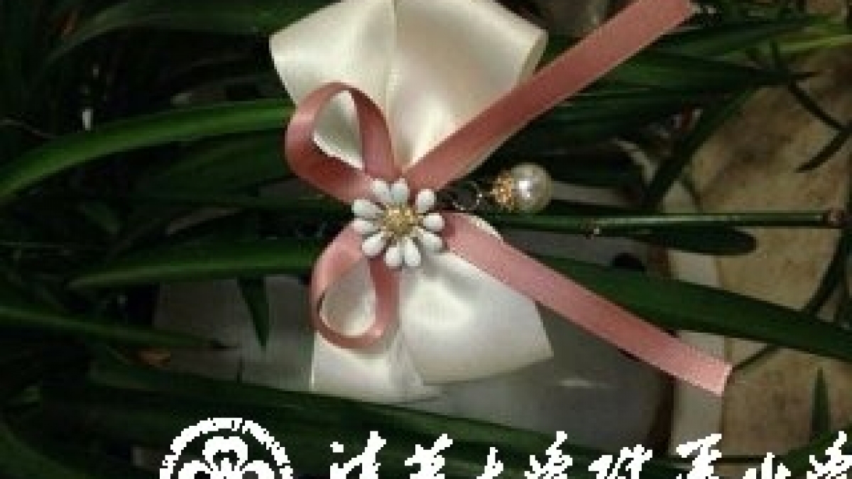 学生自创课程——水木秀场之跃然指尖的美丽