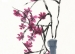学生自创课程——水木秀场之收获了自信