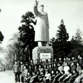 白杨树下的记忆----罗青(罗春霞)(清华附小1975届二班毕业生)