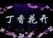 百年校史剧：《丁香花开》 