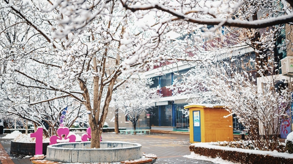 【成志教育100+5】2020年第一场雪，落在校园的样子真美！